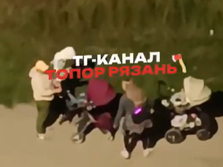 Компания мам собралась на «тусовку» с громкой музыкой с колясками в Семчине