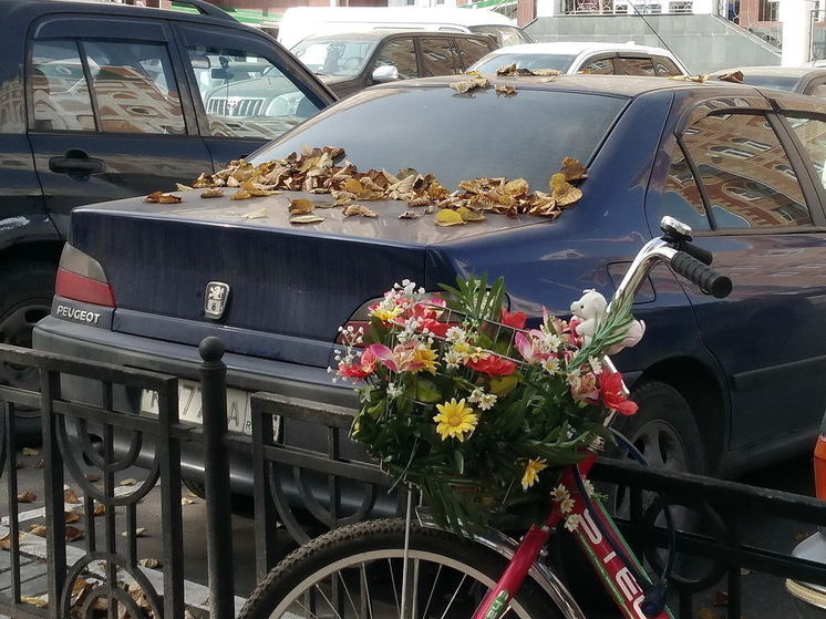 Погодный коллапс на неделе: синоптики предупреждают россиян о ливнях и сильном ветре - новый прогноз по регионам