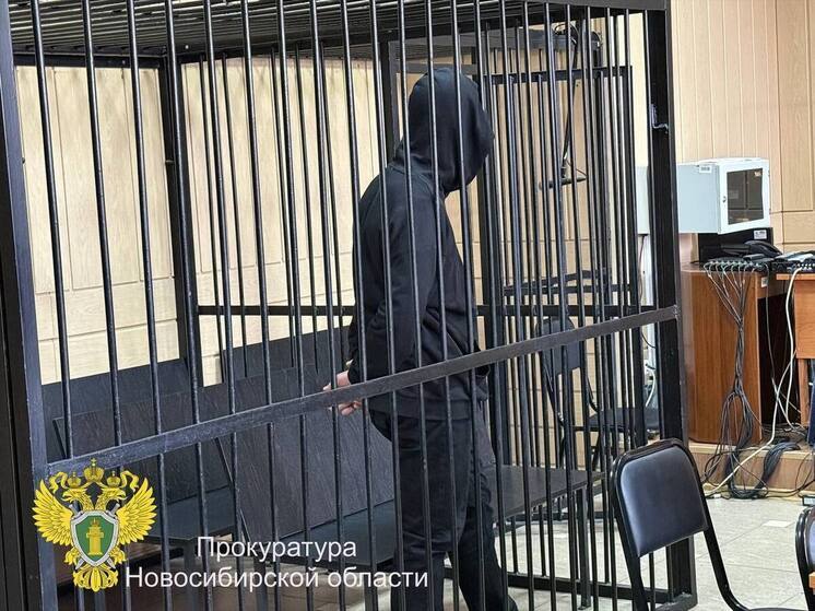Новосибирцу, зверски убившему ребёнка, дали 16 лет тюрьмы