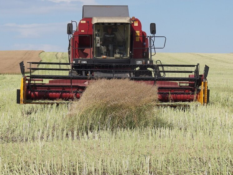 В уборку зерновых включилась одна из главных житниц Хакасии