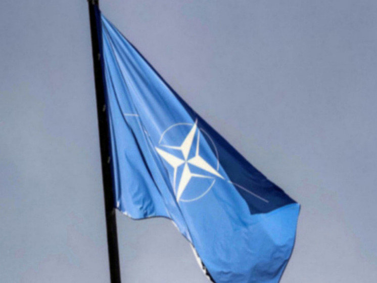 Филиппо: Запад хочет полномасштабную войну с Россией из-за инцидента с дронами