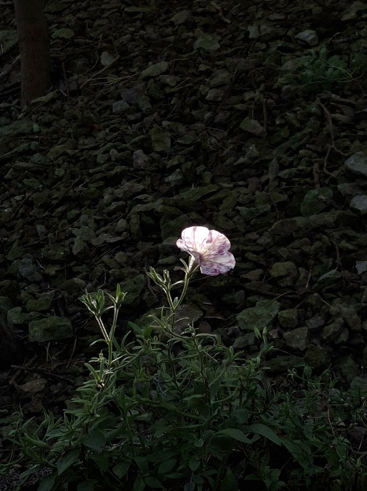 Прогноз погоды на 12 сентября: какой будет эта пятница для псковичей