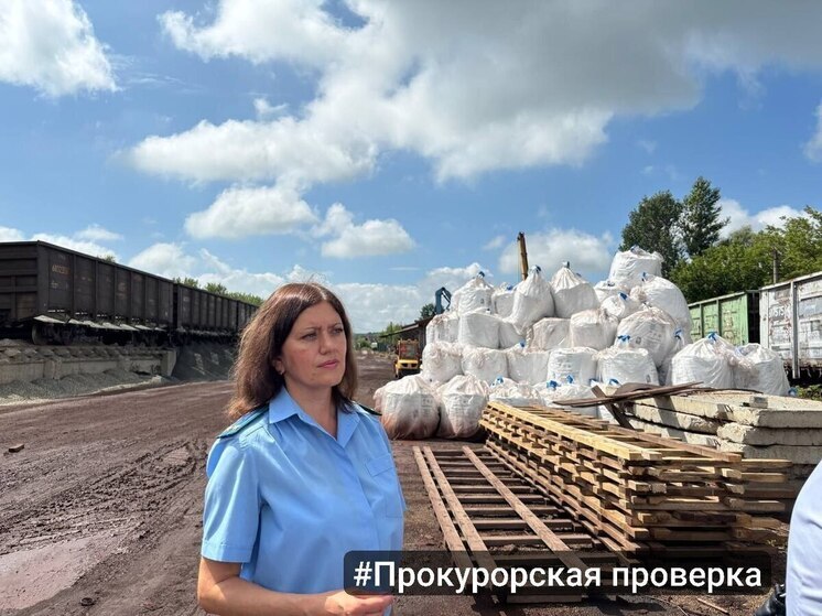 Тульское ООО «Вторичные металлы» уличили в выбросах опасных веществ в атмосферу