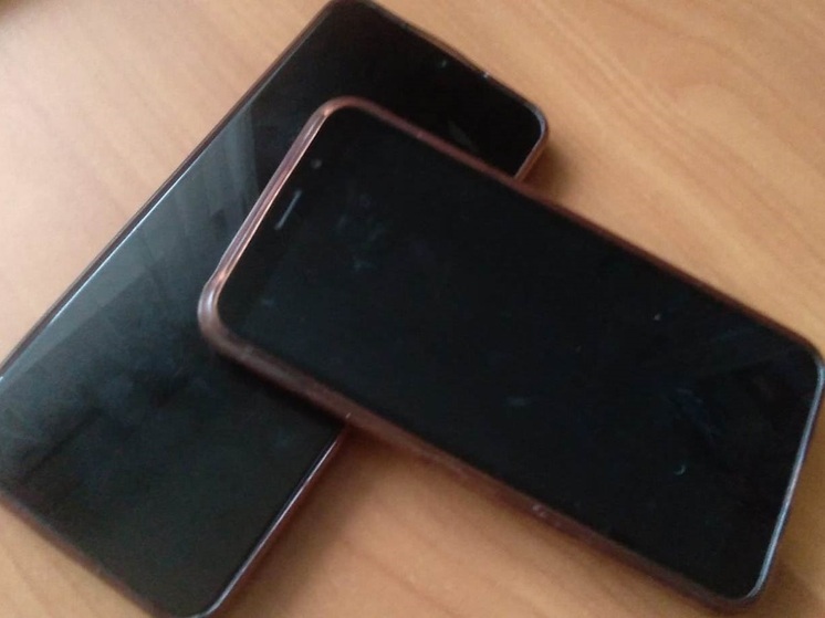 259604 свердловчанина собрались голосовать с помощью ДЭГ