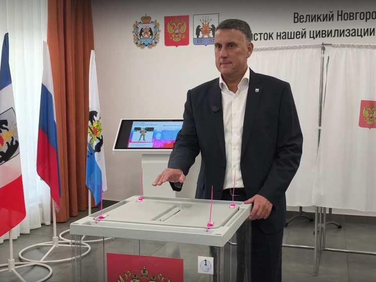 Розбаум проголосовал на досрочных выборах губернатора Новгородской области