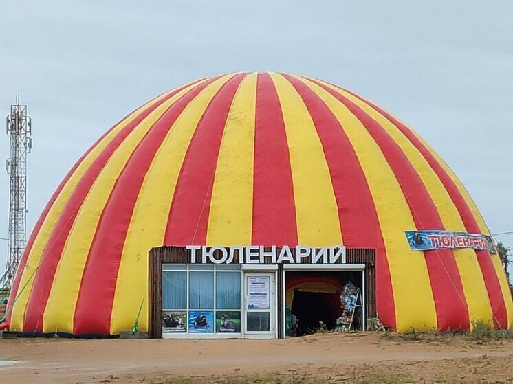 В Бурятии в Турке открылся тюленарий