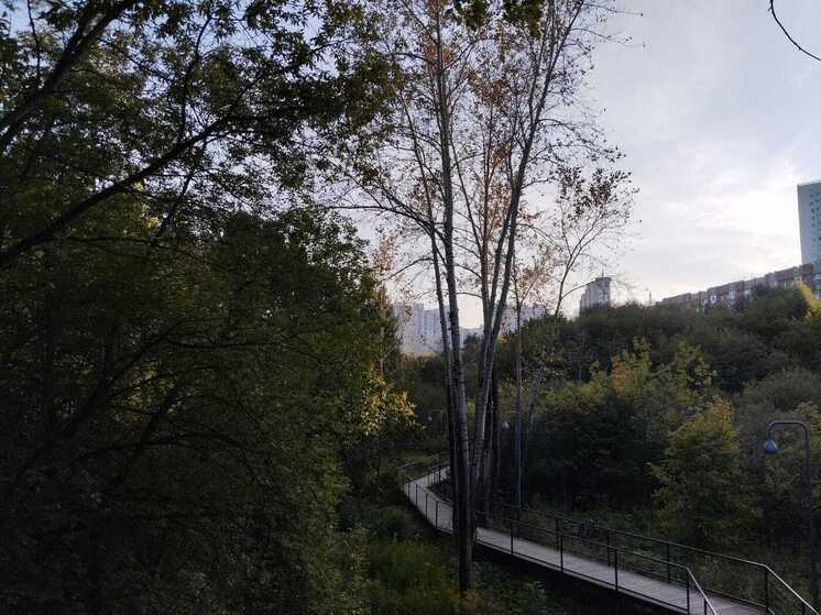 В выходные в Перми потеплеет