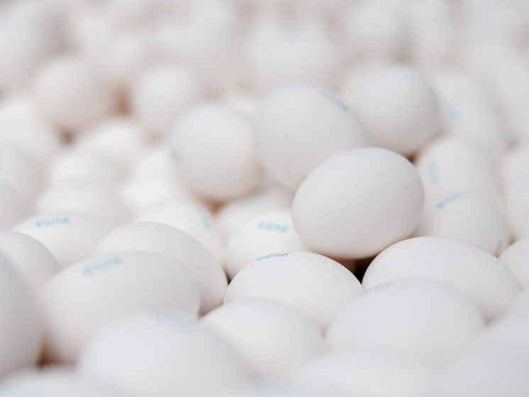 «Ъ»: в РФ дефицит куриных яиц сменился перепроизводством