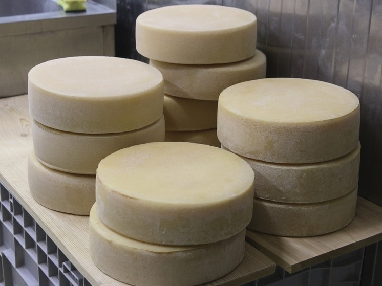 Технолог Дьячкова объяснила, как можно дома определить, натуральный ли сыр