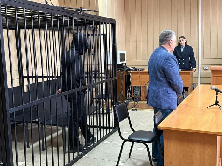 В Новосибирске мужчину приговорили к 16 годам тюрьмы за убийство младенца