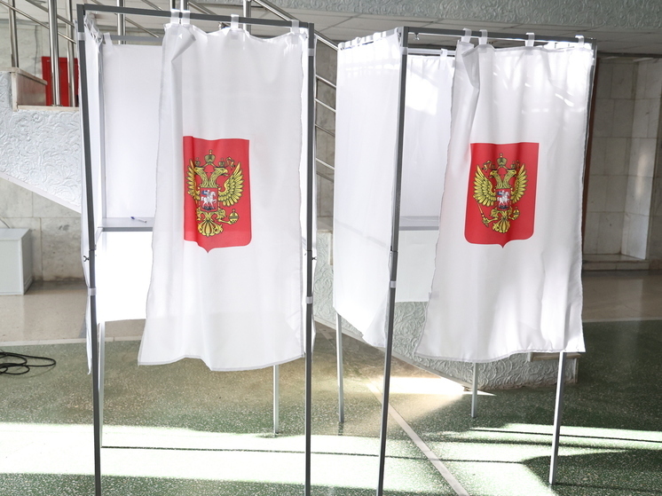 Челябинцу запретили выбирать депутата в Сосновском районе