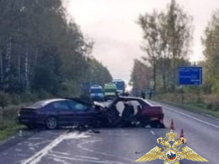 Два человека погибли в автоаварии на севере Подмосковья