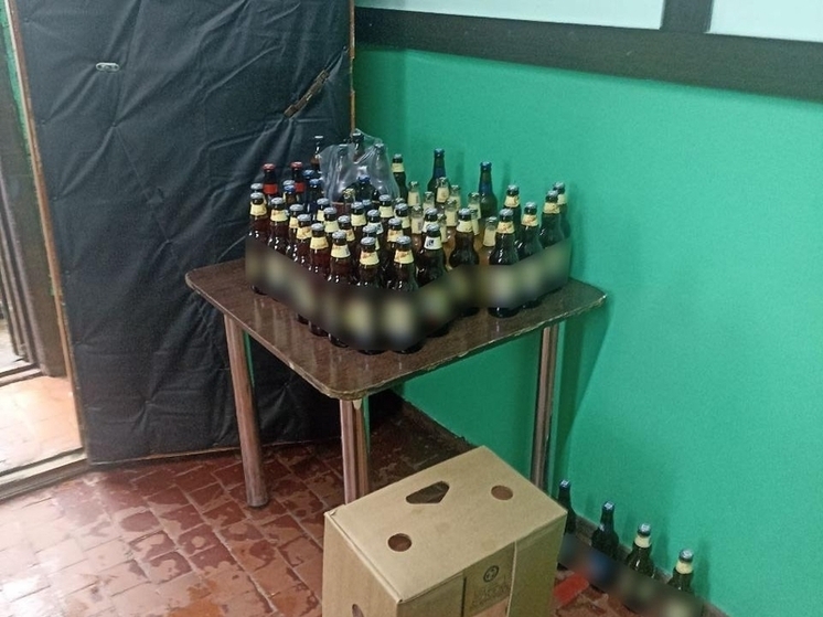 В Улуг-Хемском районе Тувы изъято около 380 литров алкогольной продукции