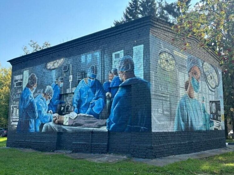 Владиславу Шапше предложили создать мурал с портретом Ромашина