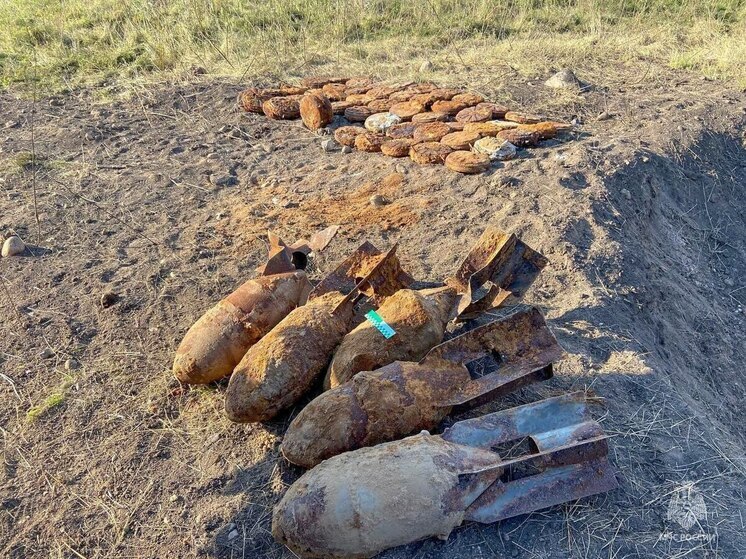 Пиротехники МЧС обезвредили боеприпасы времен ВОВ в Тосненском районе