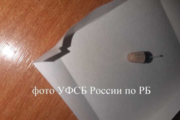 Двоих жителей Башкирии осудили за попытку подкупить сотрудника ФСБ