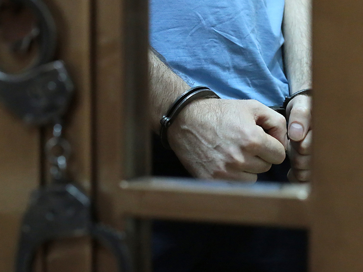 Дорогомиловский суд приговорил Григоренко к 18 годам колонии
