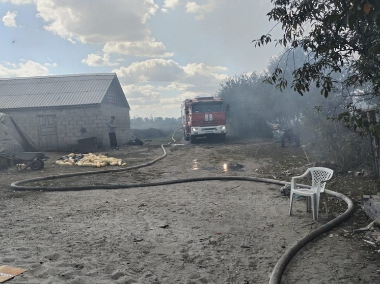 Под Курском в результате пожара погибли трёхлетний ребёнок и женщина