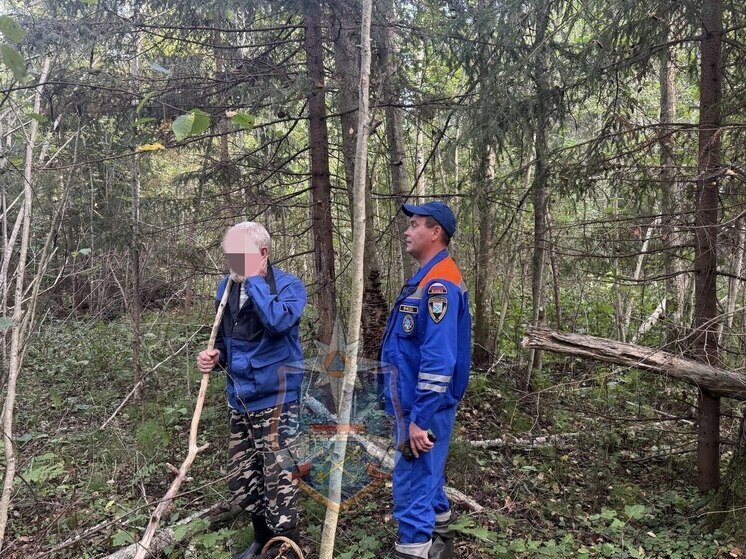 Аварийно-спасательная служба Ленобласти нашла заблудшего в лесу мужчину