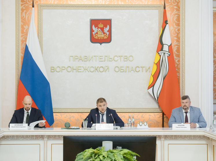 Воронежская область является одним из лидирующих регионов России по темпам роботизации предприятий