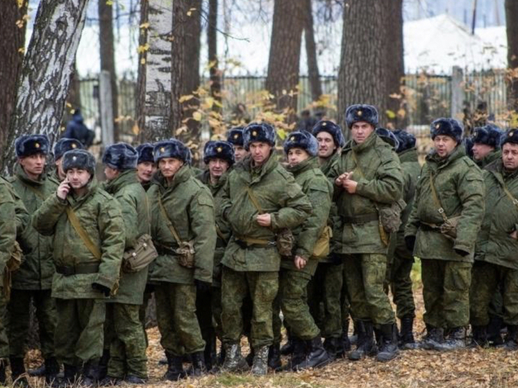В Новосибирске прокомментировали слухи о второй волне мобилизации 1 октября 2025 года