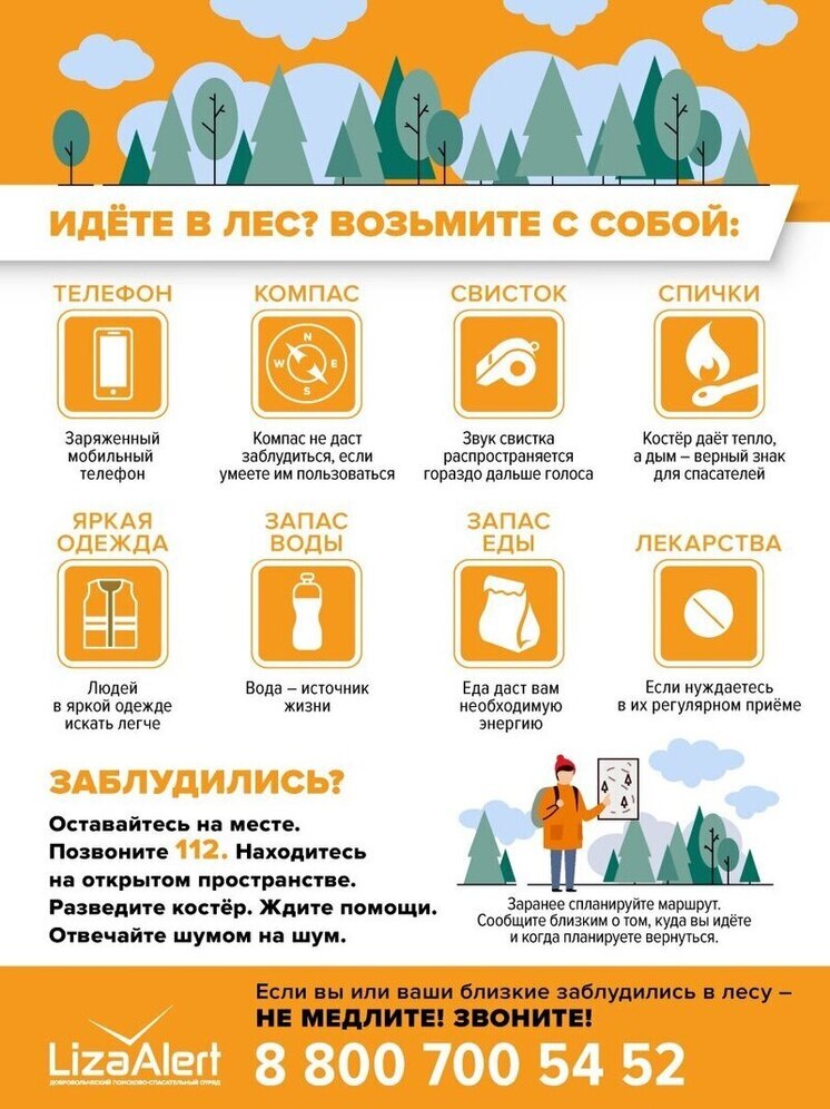 «ЛизаАлерт» напоминает: безопасность в лесу – залог вашего возвращения домой