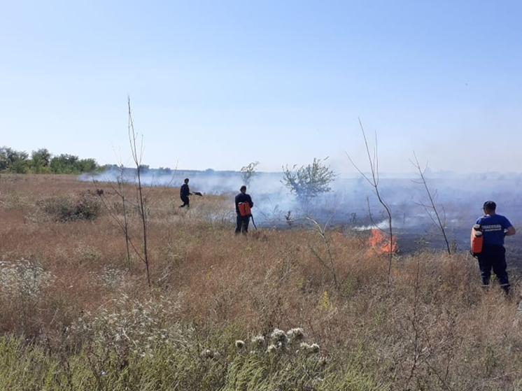 В Ростовской области потушили крупный ландшафтный пожар