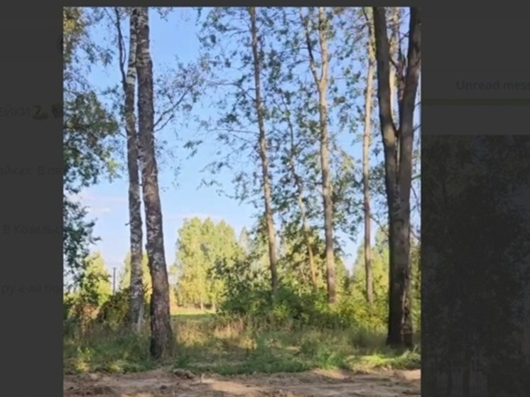 В Ульянове появится школьная роща