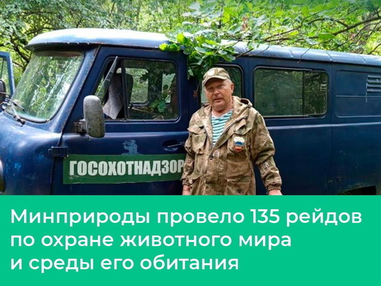 В Курской области зафиксировали 7 случаев незаконной добычи бобра и норки