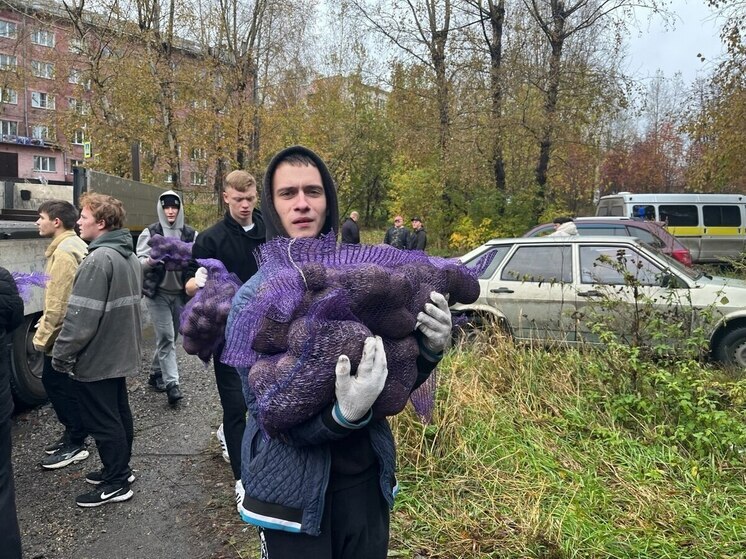Осенью жители Кузбасса вновь получат помощь в виде овощных наборов