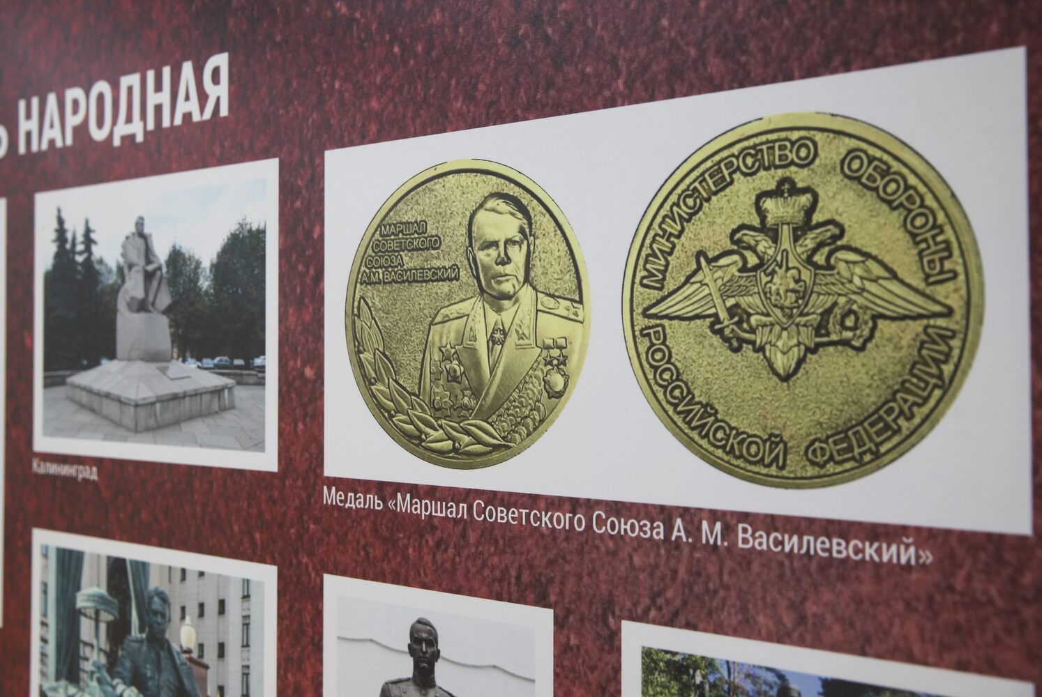 Фото с выставки маршала Василевского