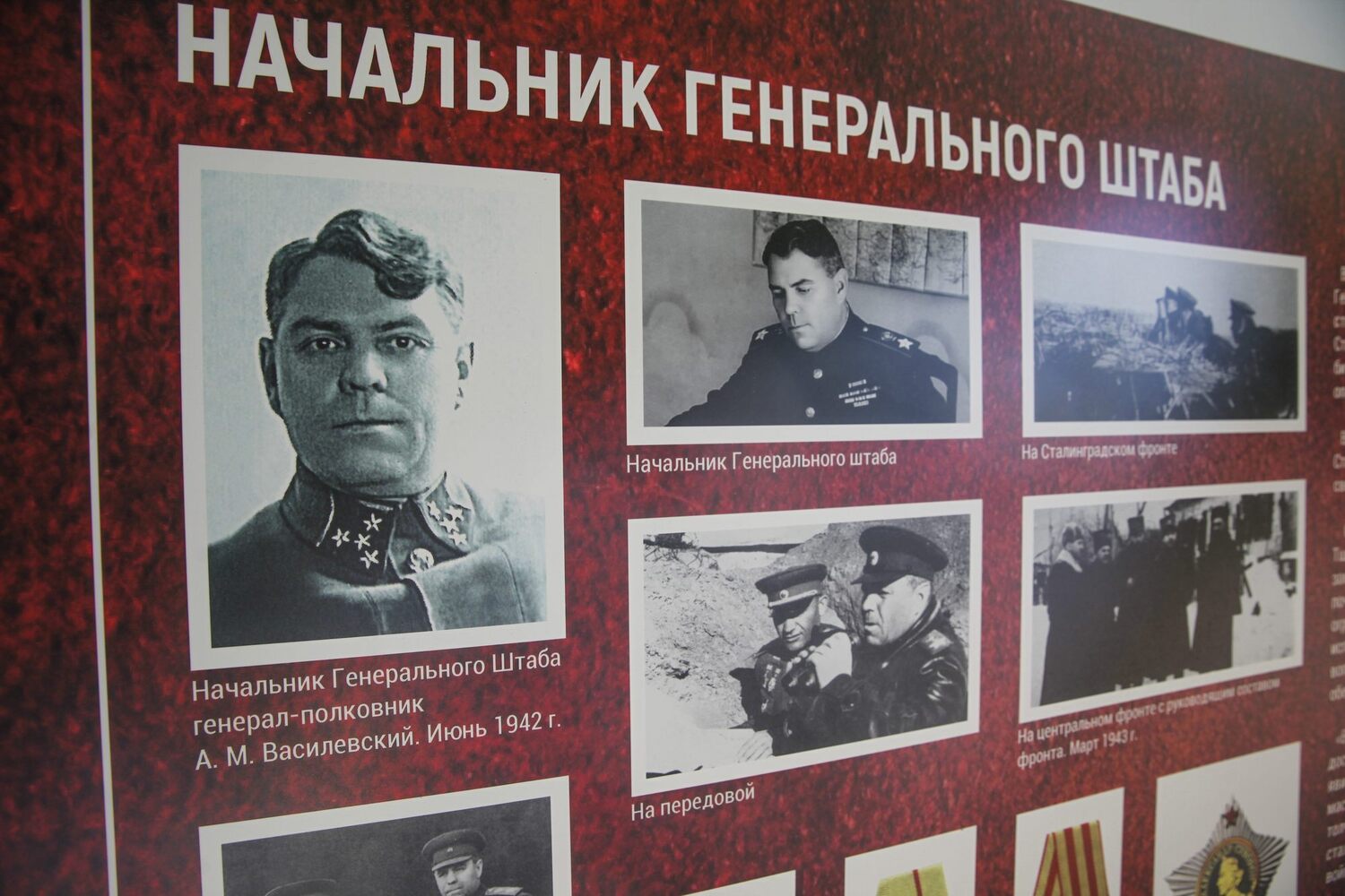 Фото с выставки маршала Василевского