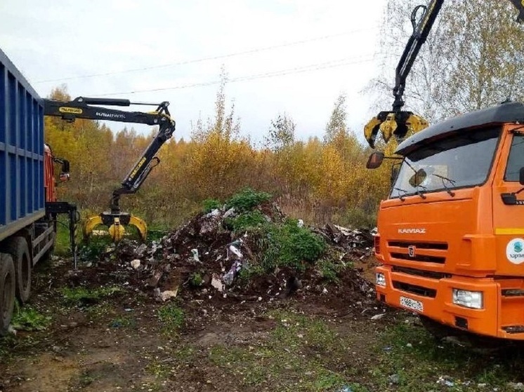 В Ярославской области с начала года устранены свыше 260 стихийных свалок