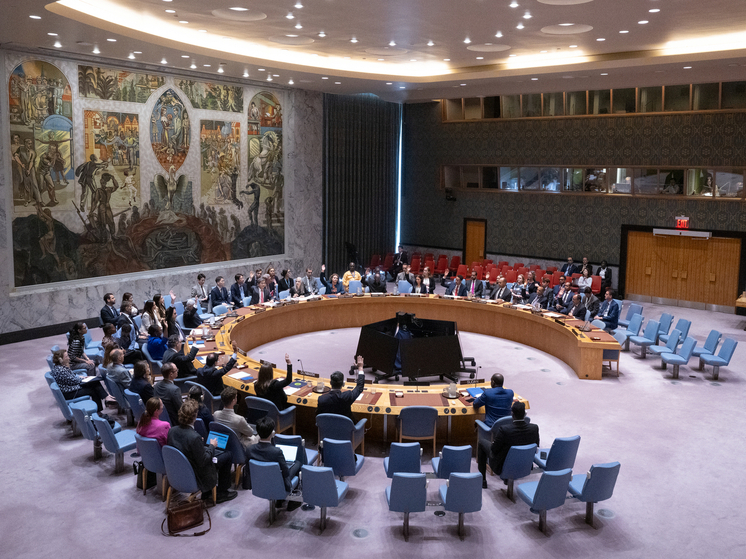 ООН: лишь 46 стран присоединились к заявлению о причастности России в инциденте с БПЛА