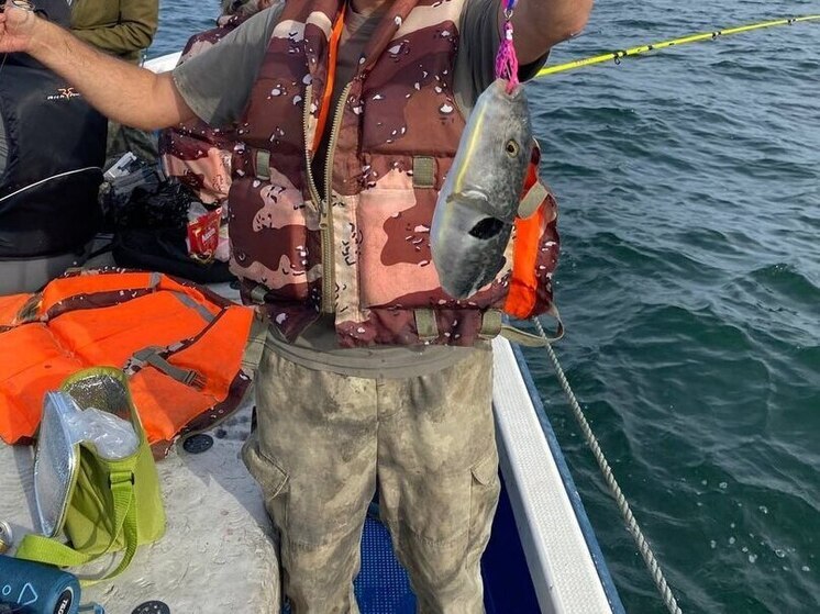 Российских рыбаков предупредили о появлении смертельно опасной рыбы