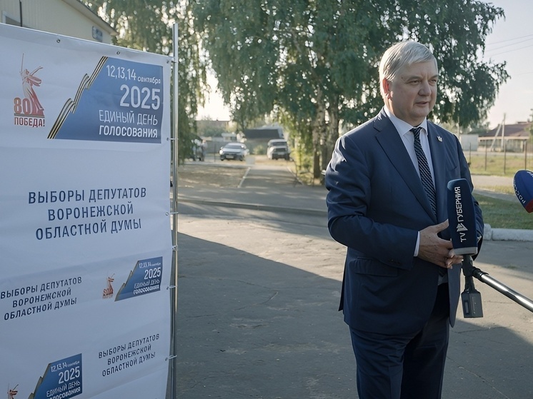 Воронеж показал самую низкую явку на выборах в гордумы Черноземья