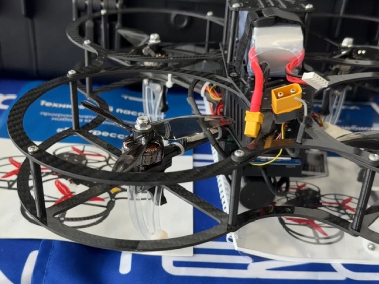 Межрегиональное сотрудничество ради защиты лесов заключили хабаровчане и сахалинцы