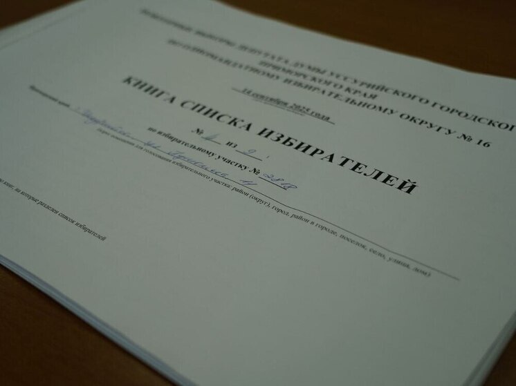 Повторные выборы депутатов Думы 16-го избирательного округа проходят в Уссурийске