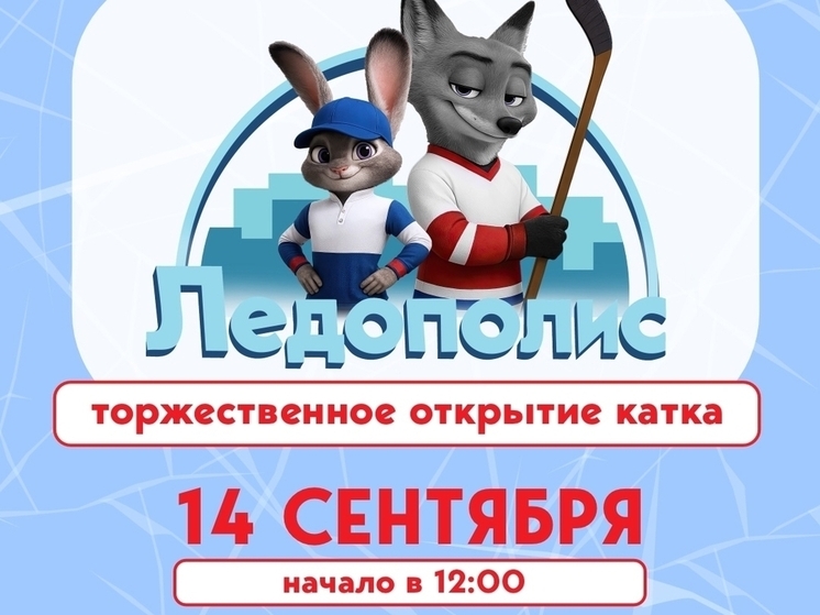 Нижегородцам вернут круглогодичный каток