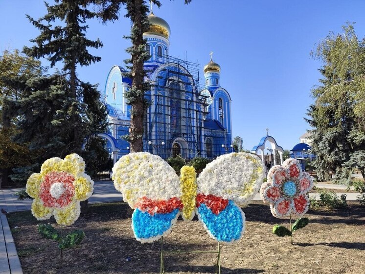 Луганску ко Дню города подарили цветочную инсталляцию