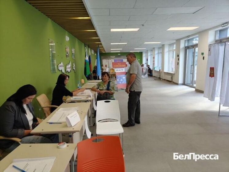 35,59% избирателей проголосовали в первый день выборов в Белгородскую облдуму