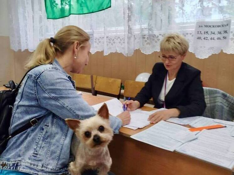 Первый день выборов в Калужской области прошёл без нарушений