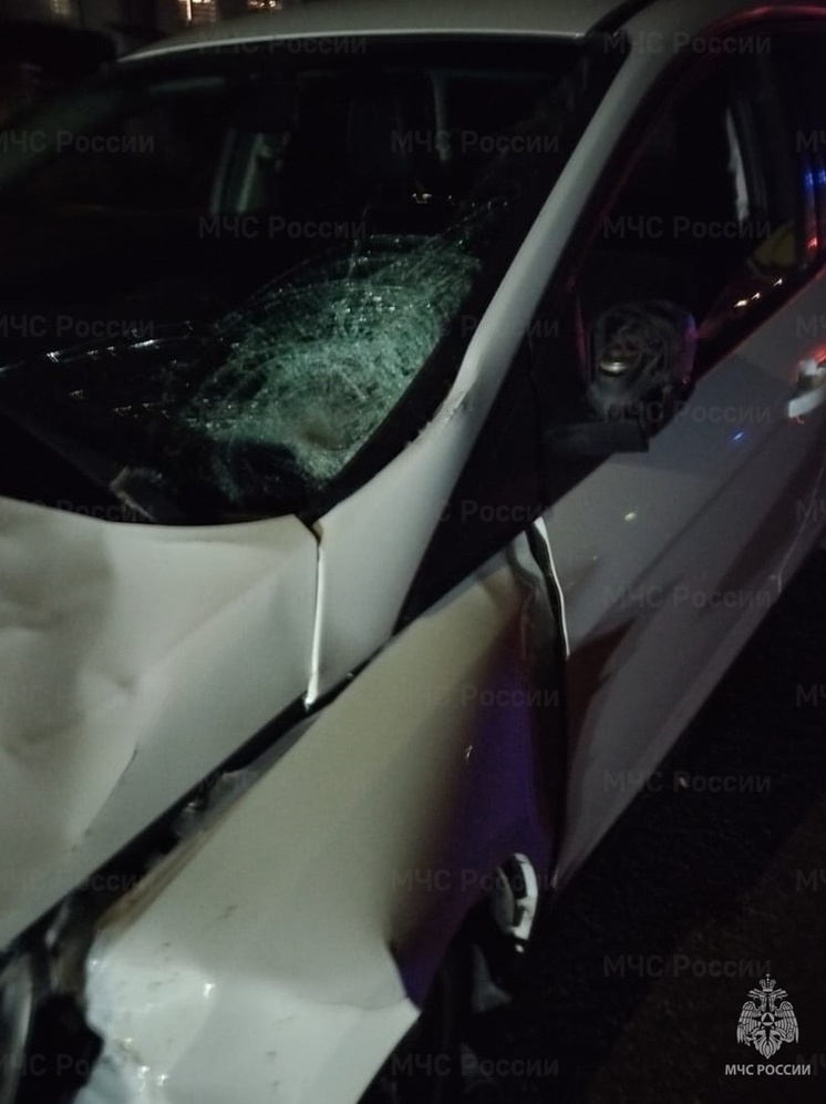 В Бетлице пешеход попал под колёса Ford Focus