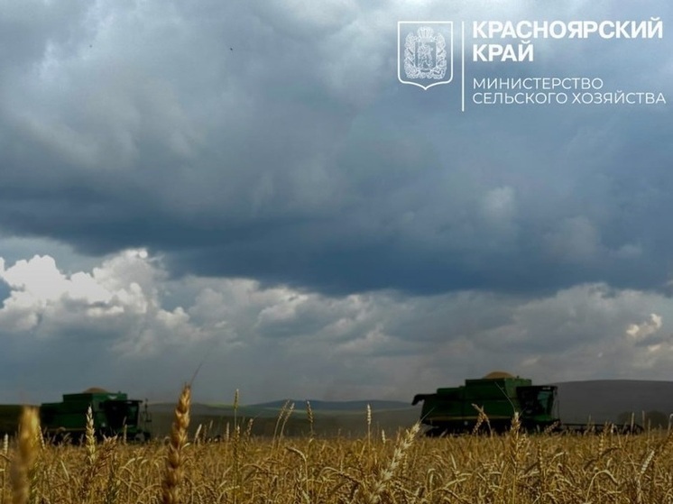 В Красноярском крае аграрии собрали более миллиона тонн зерна