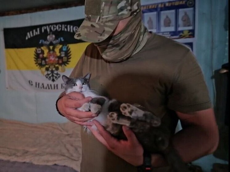 Народный фронт познакомился с пушистыми однополчанами бойцов Запорожского фронта