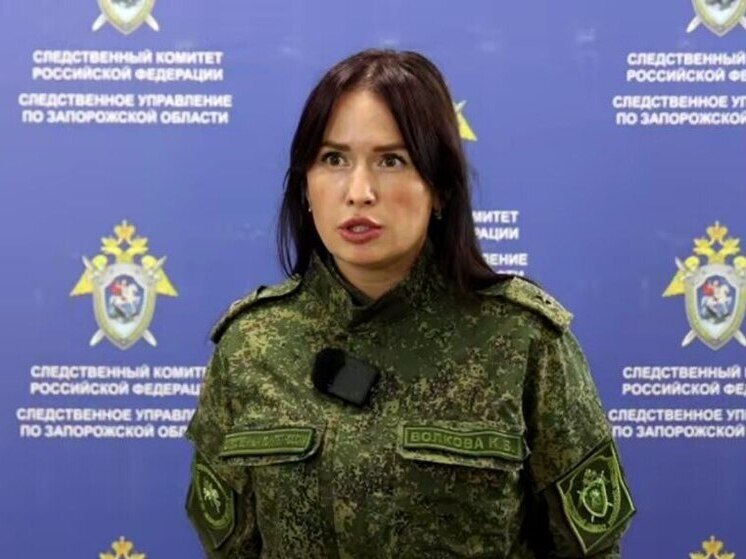 Виновного в смертельном ДТП в Мелитополе посадили за решётку