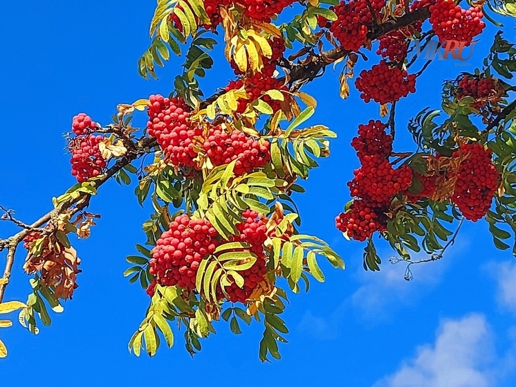 Калужан ждут длинные выходные в ноябре