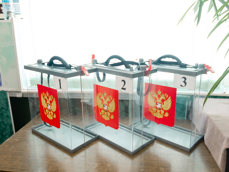 Явка на выборах в Рязанской области достигла 26,78% к 15:00 13 сентября