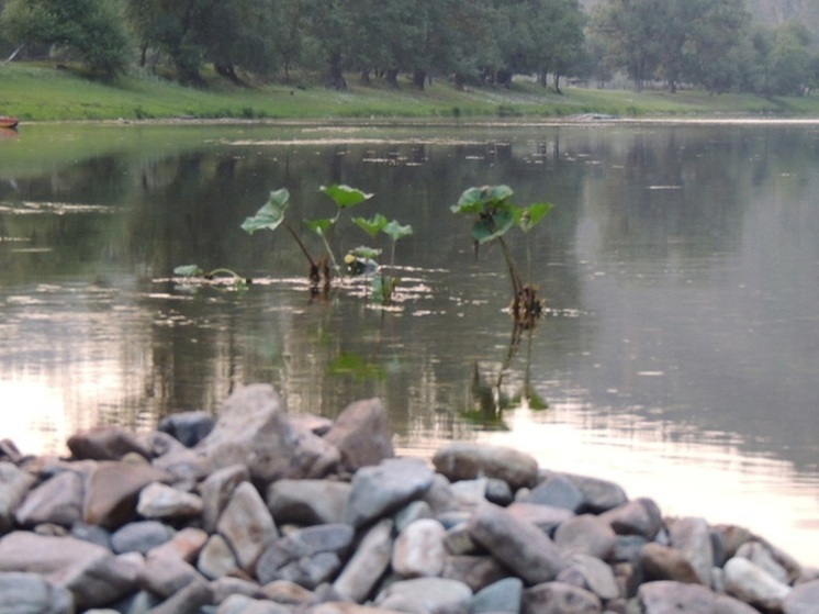 Зуб гигантского доисторического кита нашли на берегу свердловской реки