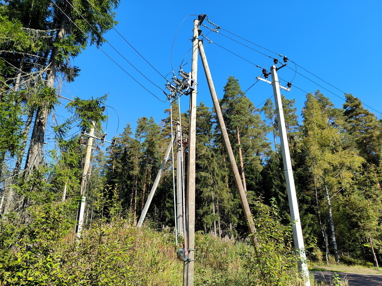 Энергетики восстановили подачу электроэнергии на подстанции «Болятино» в Подмосковье